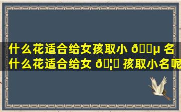 什么花适合给女孩取小 🌵 名（什么花适合给女 🦁 孩取小名呢）